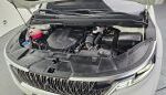 Kia Carnival, 2021