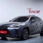 Lexus UX250h, 2021