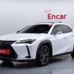 Lexus UX250h, 2021