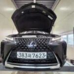 Lexus UX250h, 2021