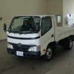 Toyota Dyna, 2010
