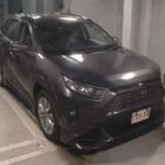 Toyota RAV4, 2020