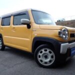 Suzuki Hustler, 2022